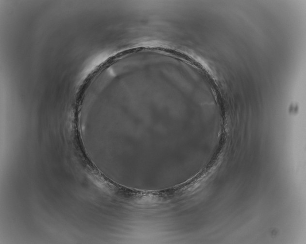 X0000096411263200802071647
