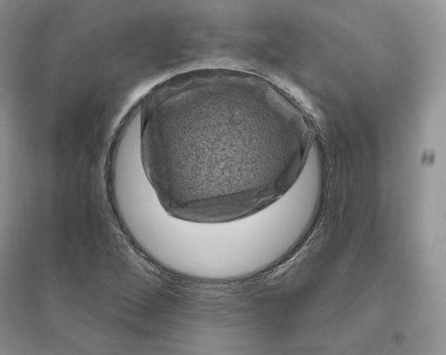X0000096411264200802071647