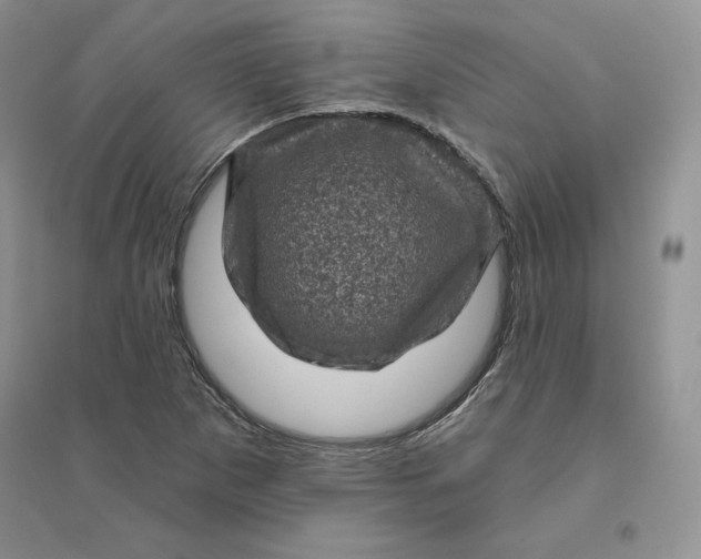 X0000096411265200802071647