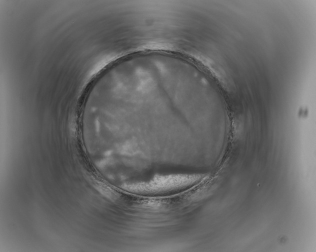 X0000096411266200802071647