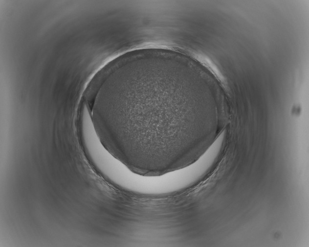 X0000096411268200802071647