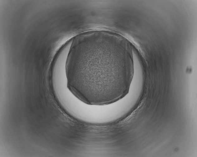 X0000096411269200802071647
