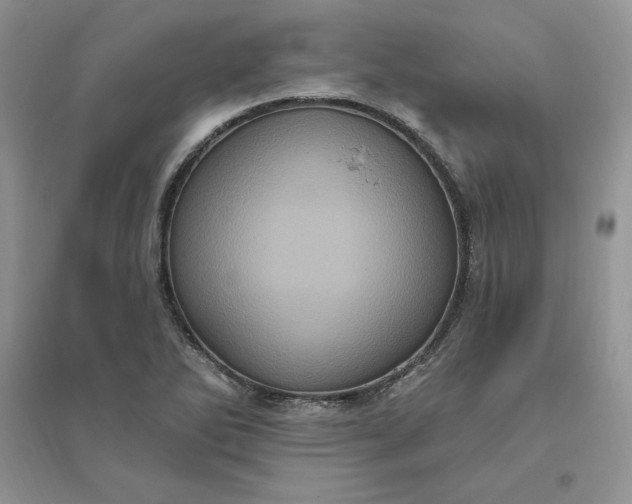 X0000096411270200802071647