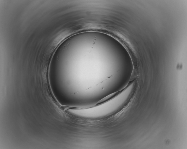 X0000096411273200802071647