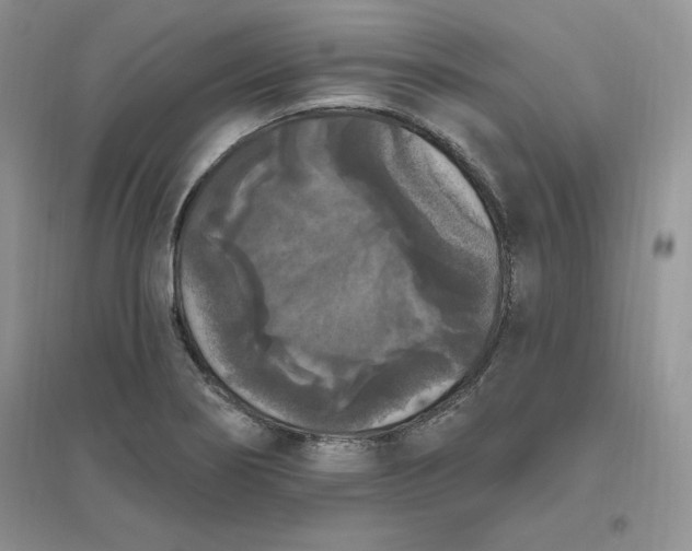X0000096411274200802071647