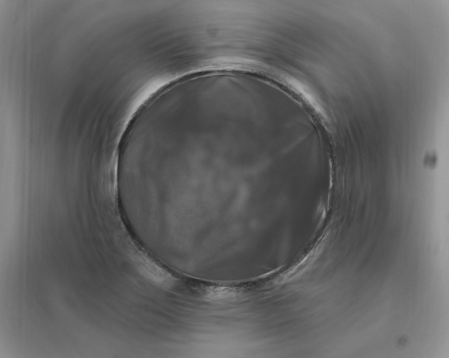 X0000096411275200802071647