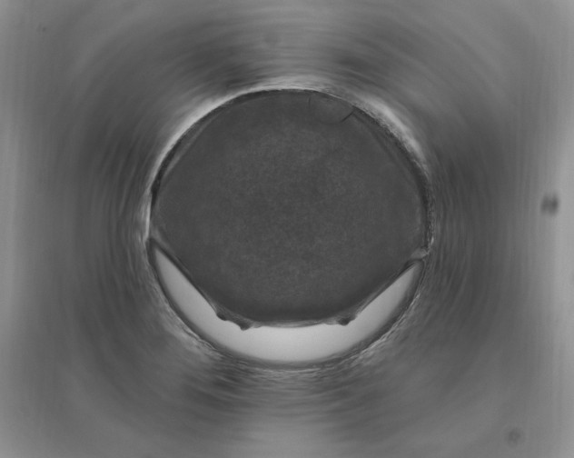 X0000096411276200802071647