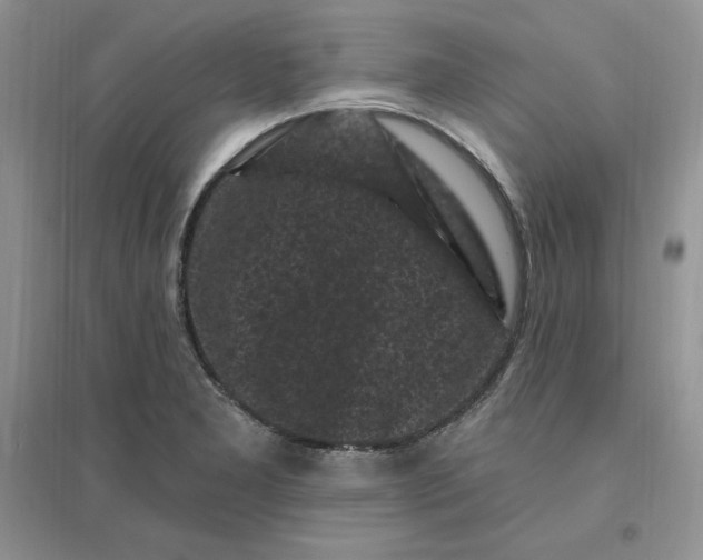X0000096411277200802071647