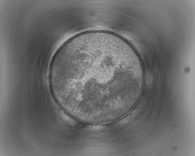 X0000096411278200802071647
