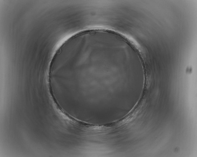 X0000096411279200802071647