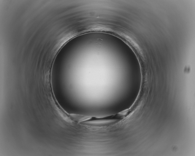 X0000096411281200802071647