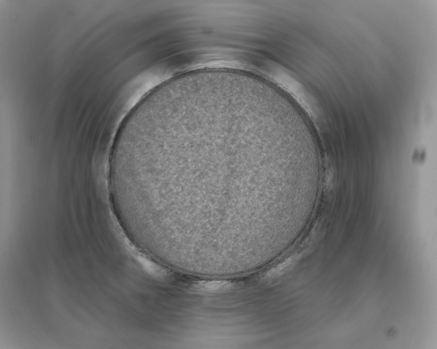 X0000096411282200802071647