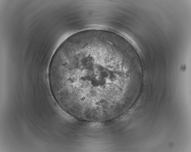X0000096411283200802071647