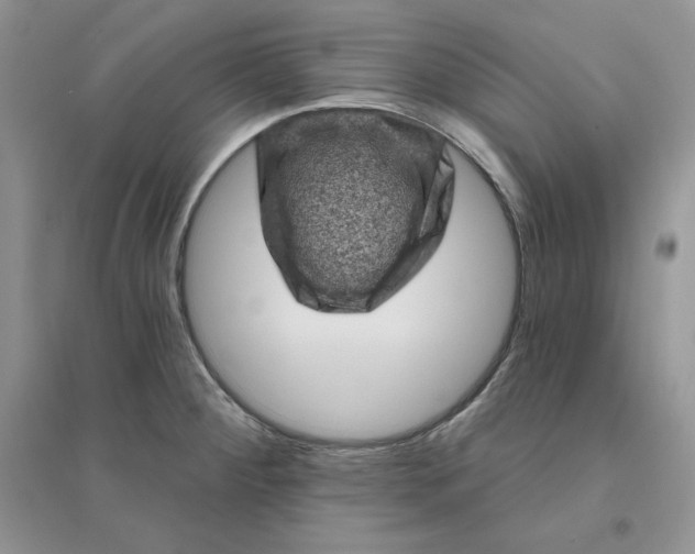 X0000096411284200802071647
