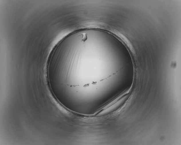 X0000096411285200802071647