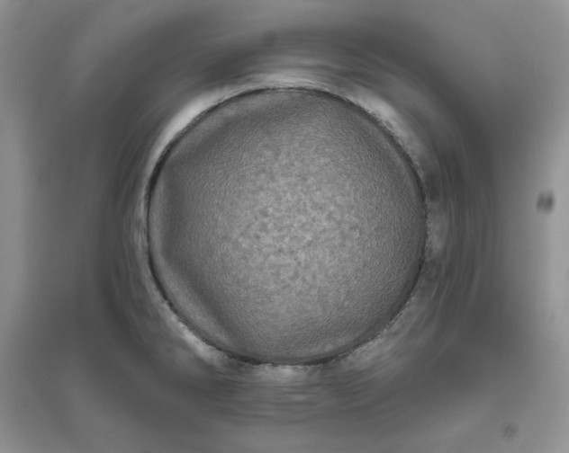 X0000096411286200802071647