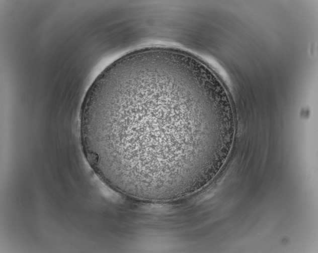 X0000096411287200802071647