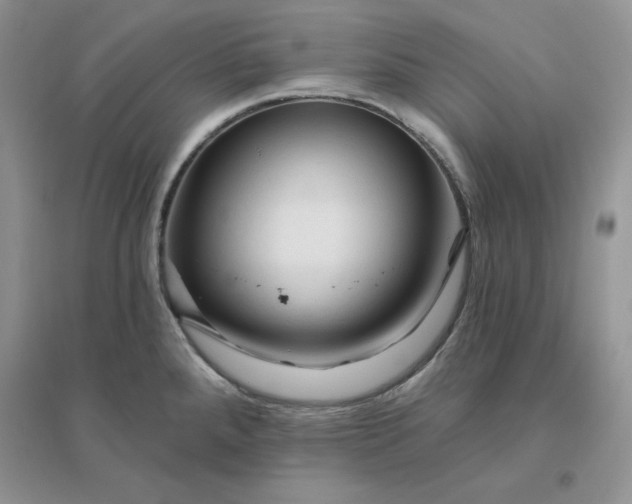 X0000096411288200802071647