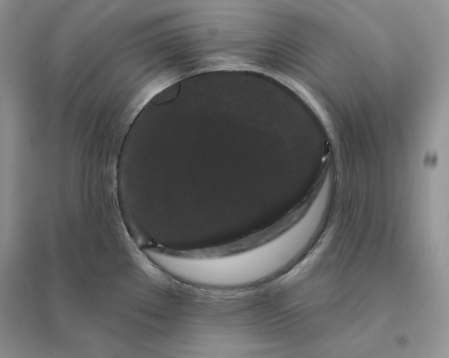 X0000096411289200802071647