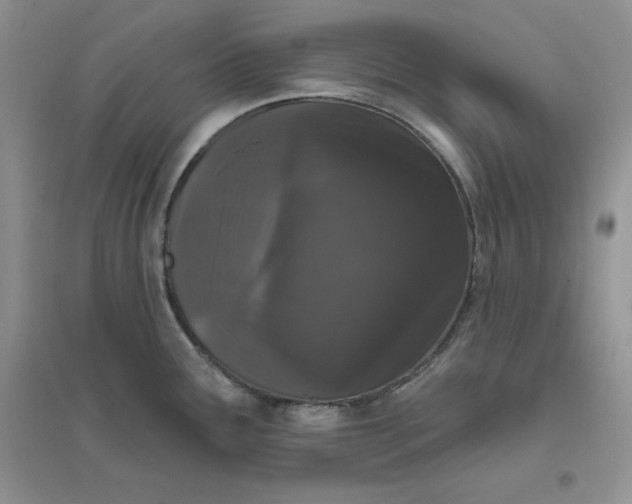 X0000096411291200802071647