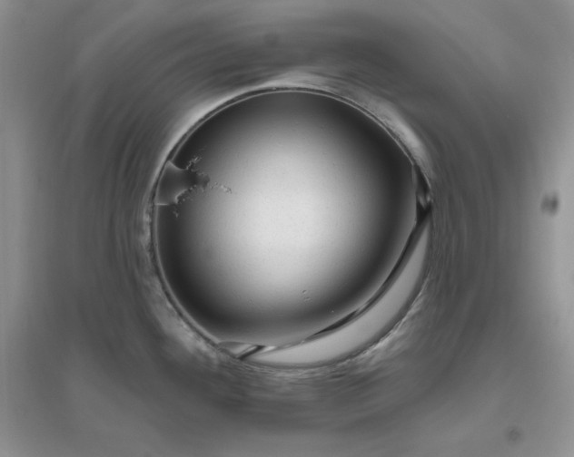 X0000096411292200802071647