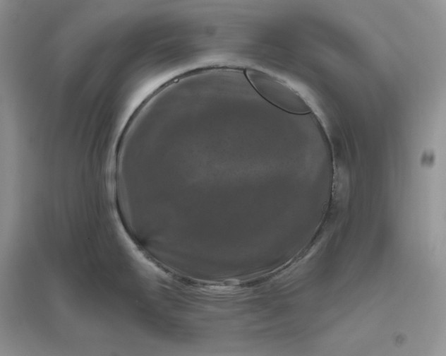 X0000096411295200802071646