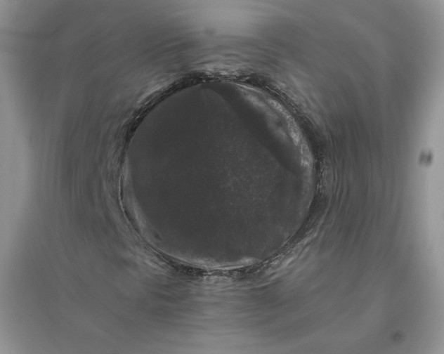 X0000096411297200802071646