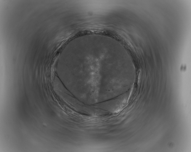 X0000096411298200802071646