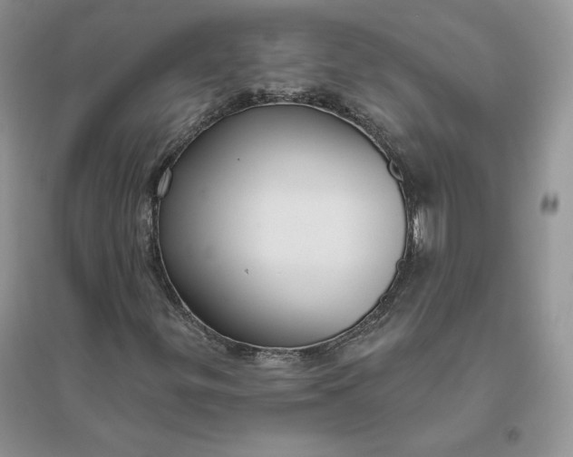 X0000096411299200802071646