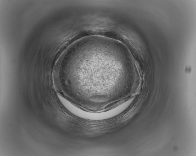 X0000096411300200802071646