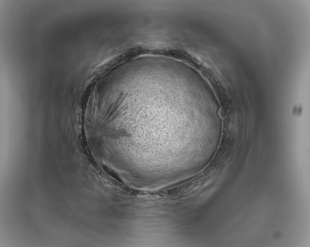 X0000096411301200802071646