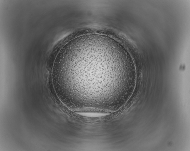 X0000096411302200802071646
