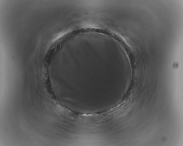X0000096411303200802071646