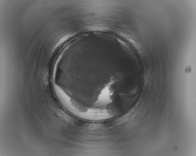 X0000096411306200802071646