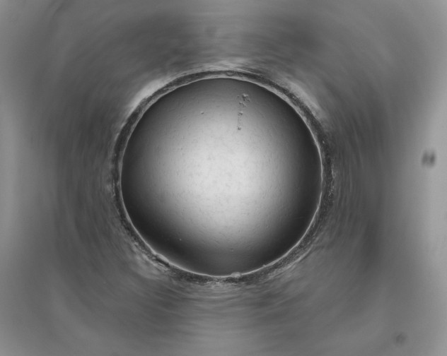 X0000096411308200802071646