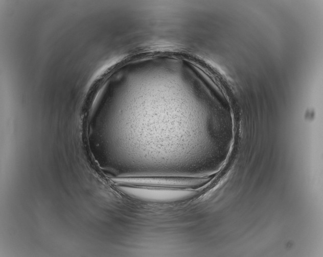 X0000096411309200802071646