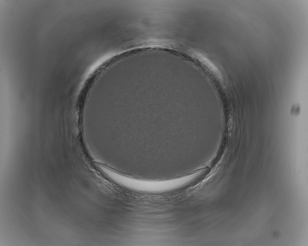 X0000096411310200802071646