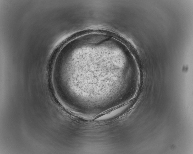 X0000096411311200802071646