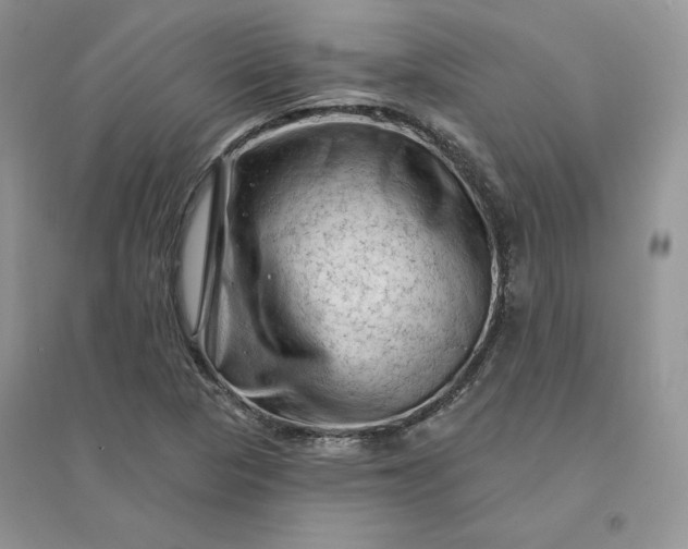 X0000096411313200802071646