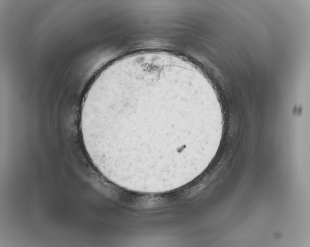 X0000096411314200802071646