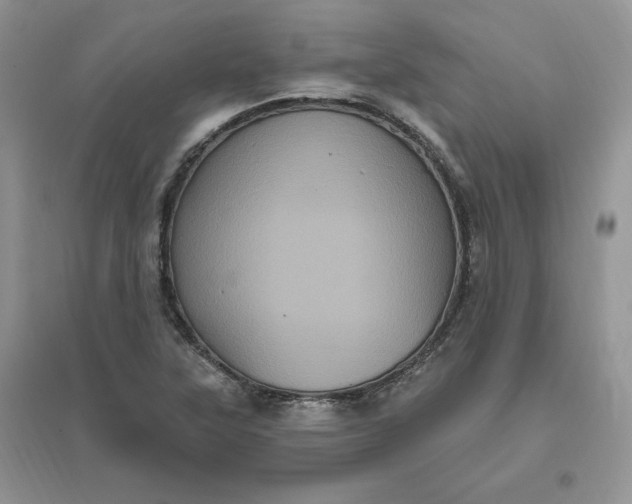 X0000096411315200802071646