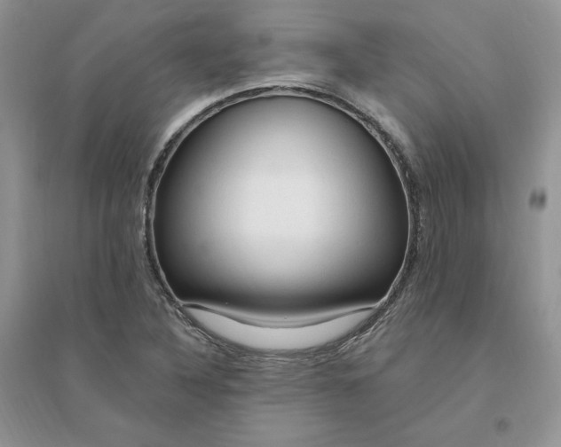 X0000096411316200802071646