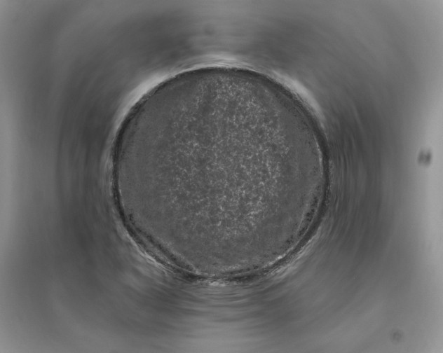 X0000096411318200802071646