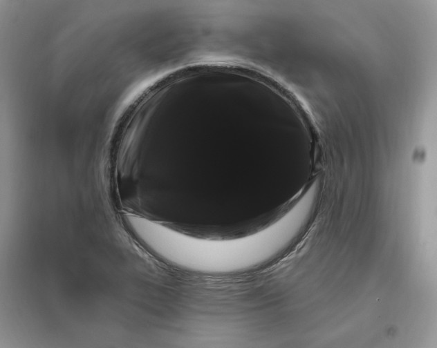 X0000096411319200802071646