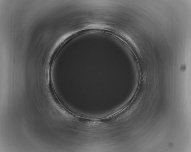 X0000096411323200802071646