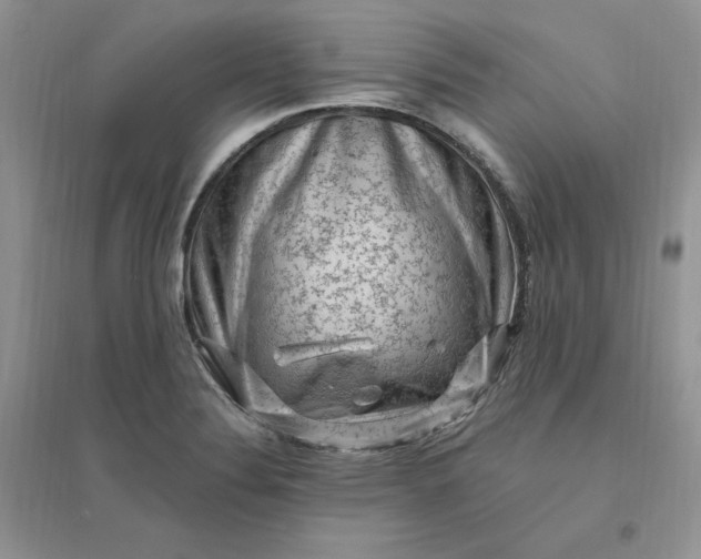 X0000096411324200802071646