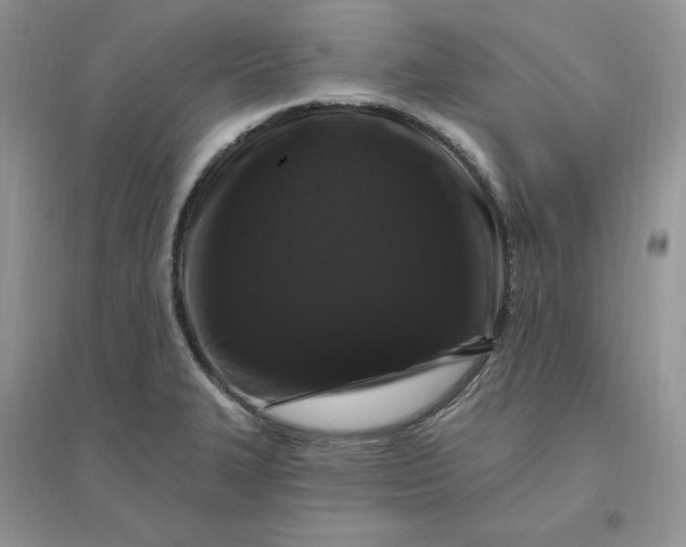 X0000096411327200802071646