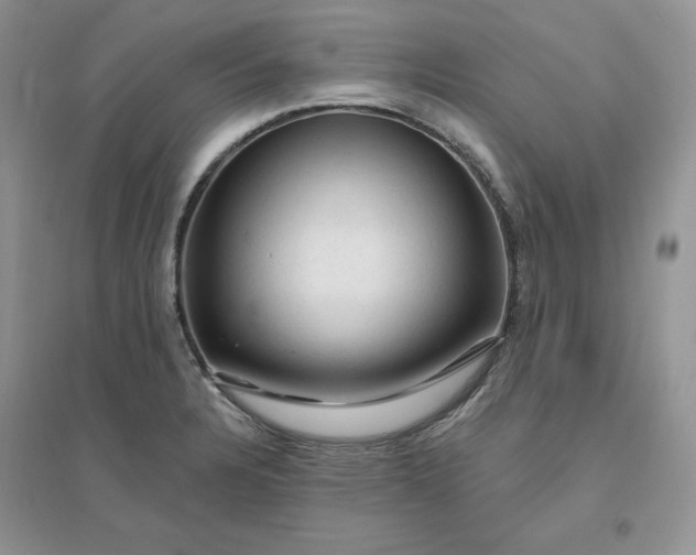 X0000096411328200802071646