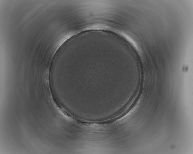 X0000096411329200802071646