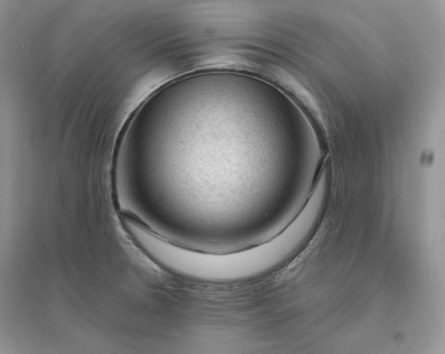 X0000096411330200802071646